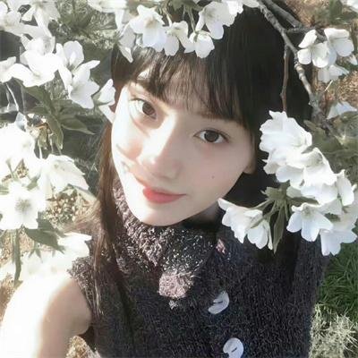 邦妮·帕克的故事